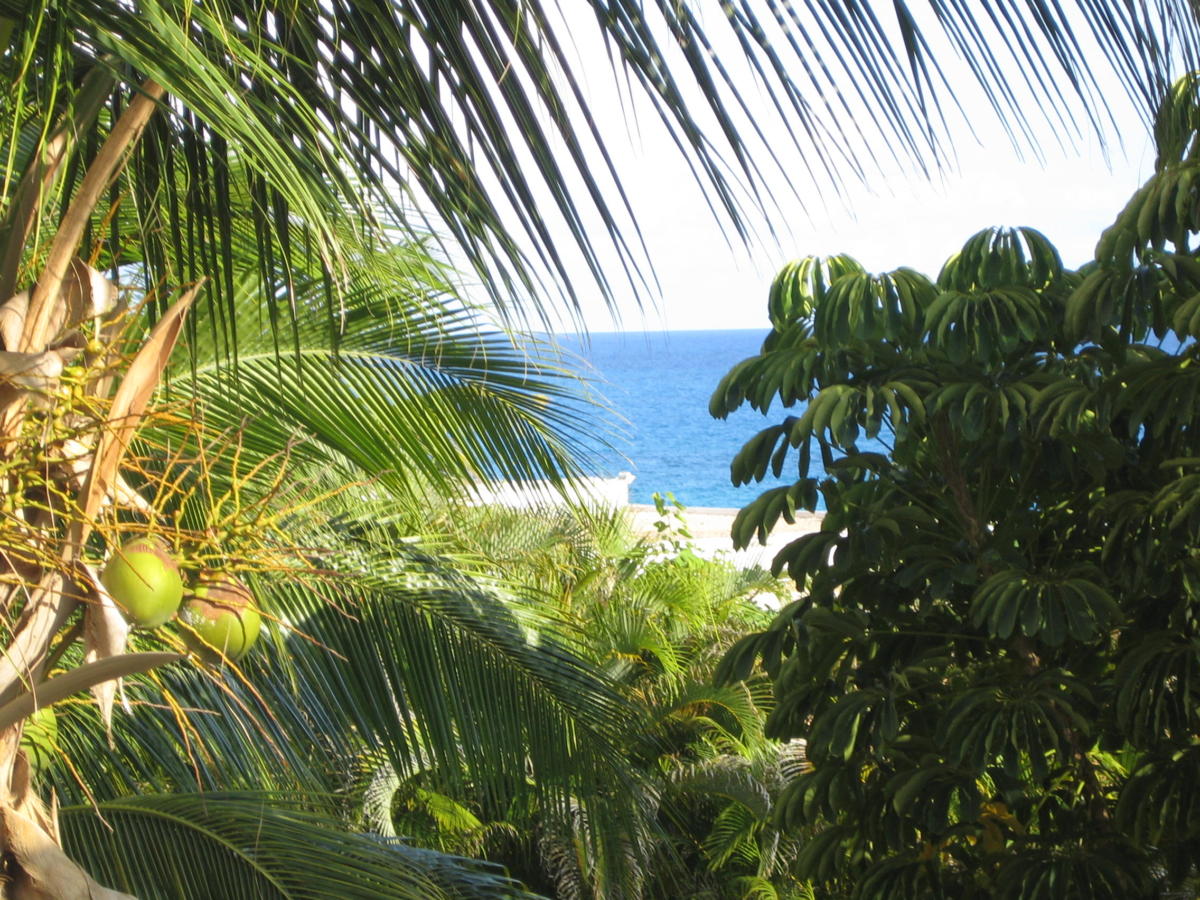 Sint Maarten (May 2006) 015