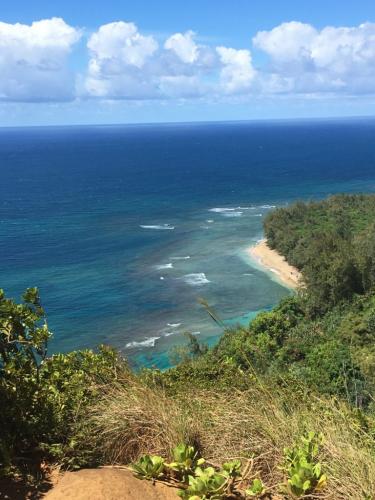 IMG 4517-768x1024 (1)