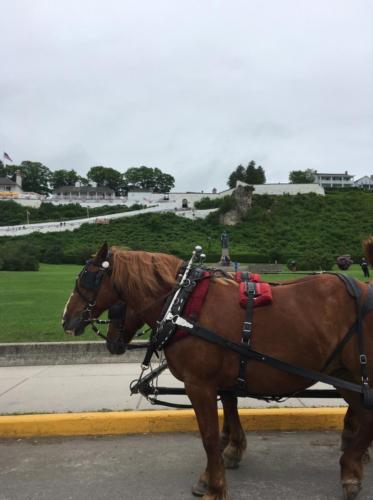 Mackinac Island.Town pic3